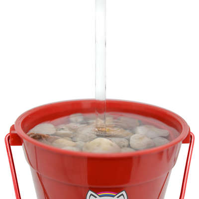 Bebedouro Fonte CatMyPet Torneira MagiCat Vermelho