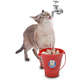 Bebedouro Fonte CatMyPet Torneira MagiCat Vermelho