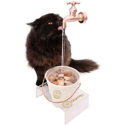 Bebedouro Fonte CatMyPet Torneira MagiCat Gold com Suporte