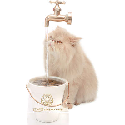 Bebedouro Fonte CatMyPet Torneira MagiCat Gold com Suporte