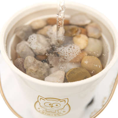 Bebedouro Fonte CatMyPet Torneira MagiCat Gold com Suporte