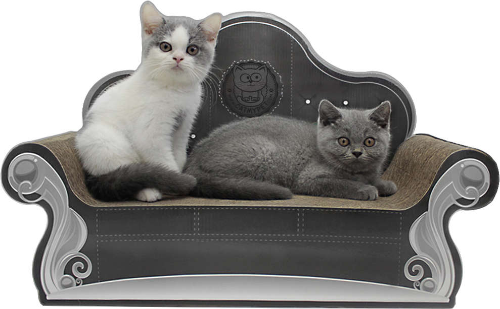 Arranhador CatMyPet Sofá - Preto