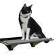 Prateleira Hello Pet com Carpete Preta para Gatos - Preta