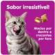 Petisco Whiskas Temptations Pelo Saudável para Gatos Adultos - 40 g