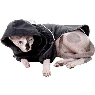 Capa de Chuva Bichinho Chic Premium Preta