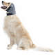 Protetor de Orelha Pet Med Plus Color