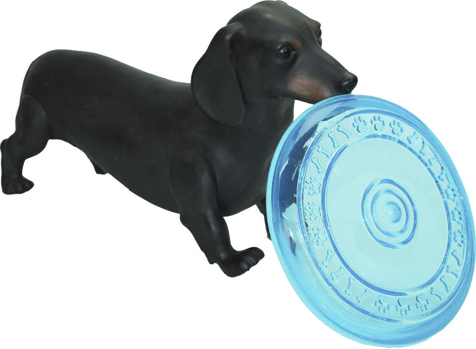Brinquedo Chalesco Frisbee Totóys Disco Flex Sabor Frango - Cores Variadas