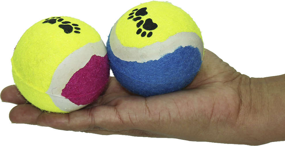 Bola de Tênis para Cães Chalesco - Tam. Único
