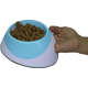 Comedouro Chalesco Dual Collor Plus Azul
