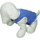 Colete Gelado Chalesco Pet Cooling Vest