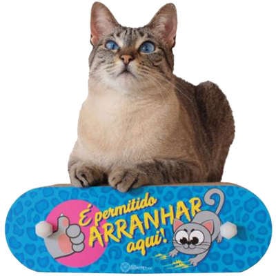 Brinquedo CatMyPet Arranhador Arranhadinho