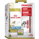 Combo Ração Royal Canin Shih Tzu Adulto - 2,5 Kg