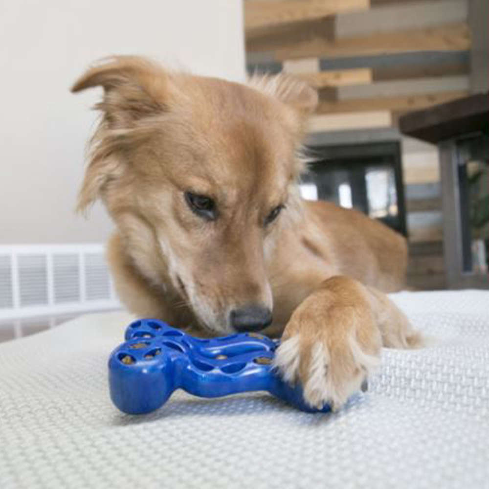 Brinquedo KONG Duratreat Bone Azul - Tam. G
