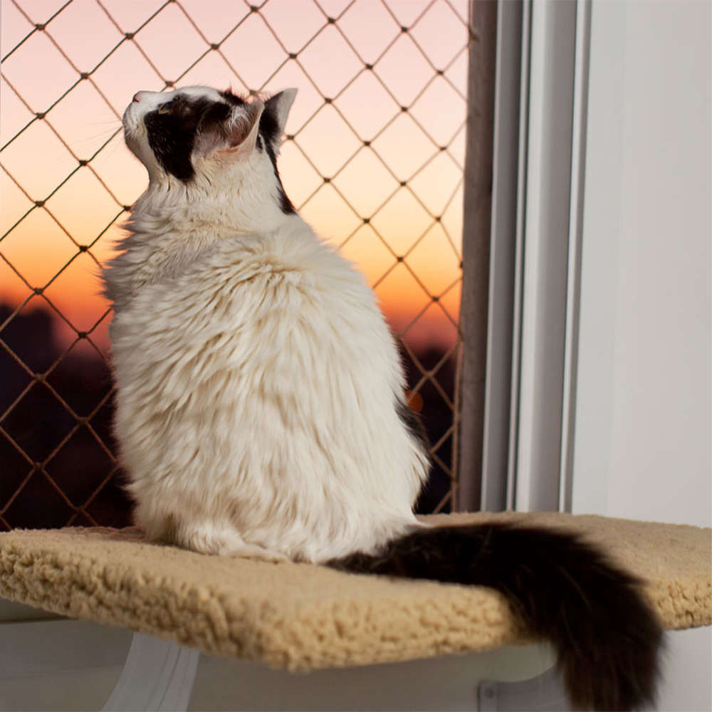 Cama de Janela Spacecat Lunar para Gatos - Tam. Único