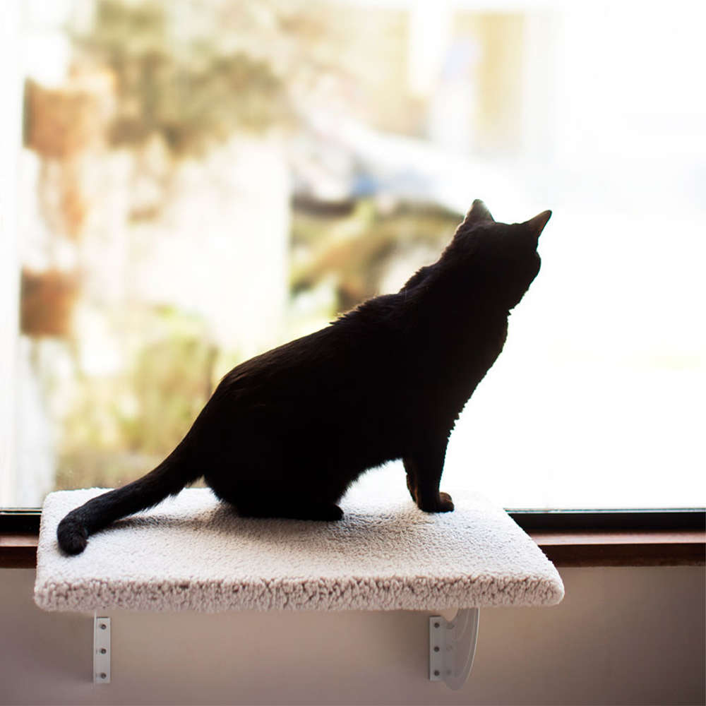 Cama de Janela Spacecat Lunar para Gatos - Tam. Único