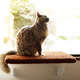 Prateleira Gatton SpaceCat Júpiter para Gatos