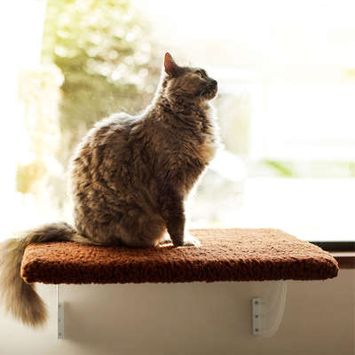 Prateleira Gatton SpaceCat Júpiter para Gatos
