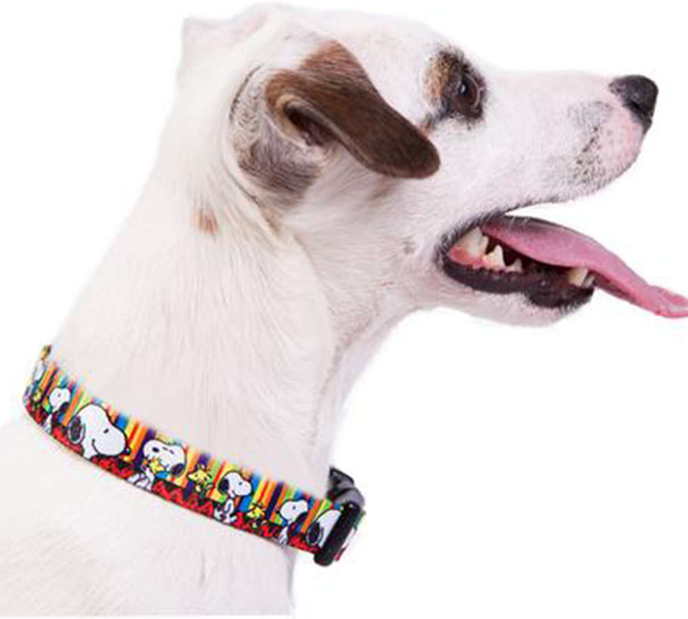 Coleira Zooz Pets Snoopy Stripe - Tam. P