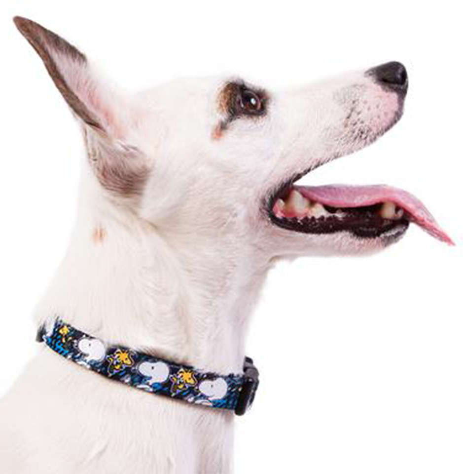 Coleira Zooz Pets Snoopy Xablue - Tam. G