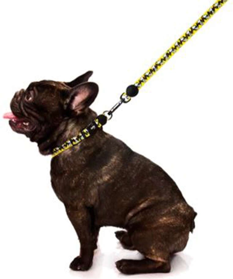 Guia Zooz Pets Snoopy Charlie Brown - Tam. P/M