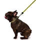 Guia Zooz Pets Snoopy Charlie Brown