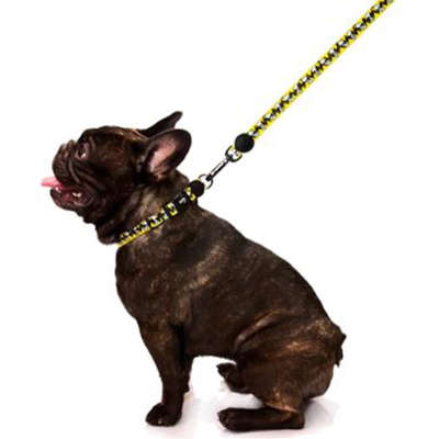 Guia Zooz Pets Snoopy Charlie Brown