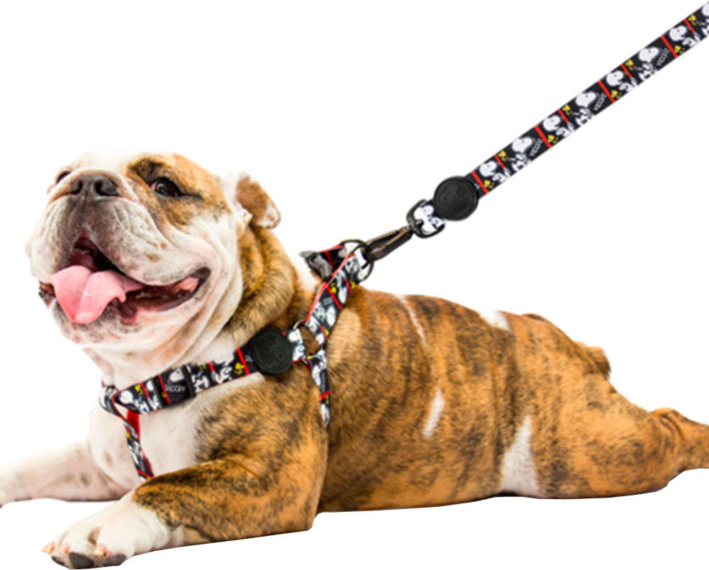 Guia Zooz Pets Snoopy FilmBlack - Tam. PP