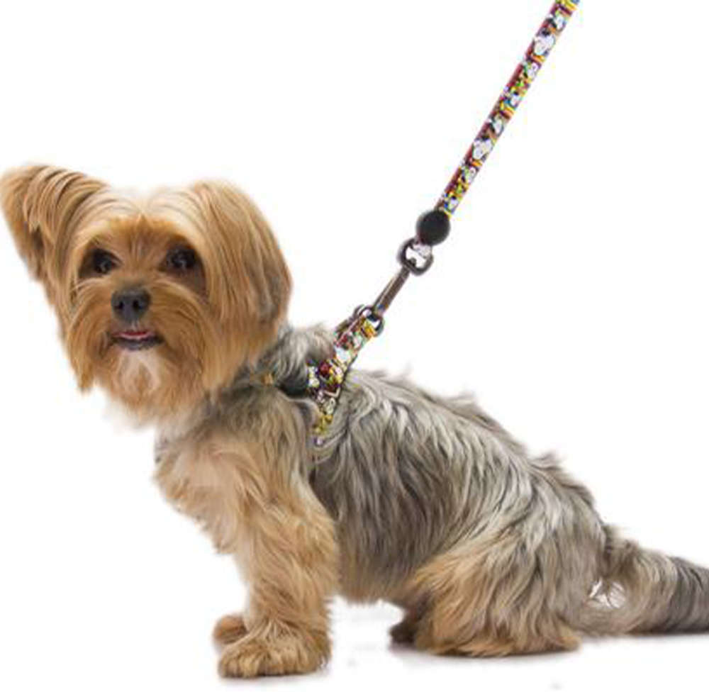 Guia Zooz Pets Snoopy Stripe - Tam. PP