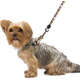 Guia Zooz Pets Snoopy Stripe