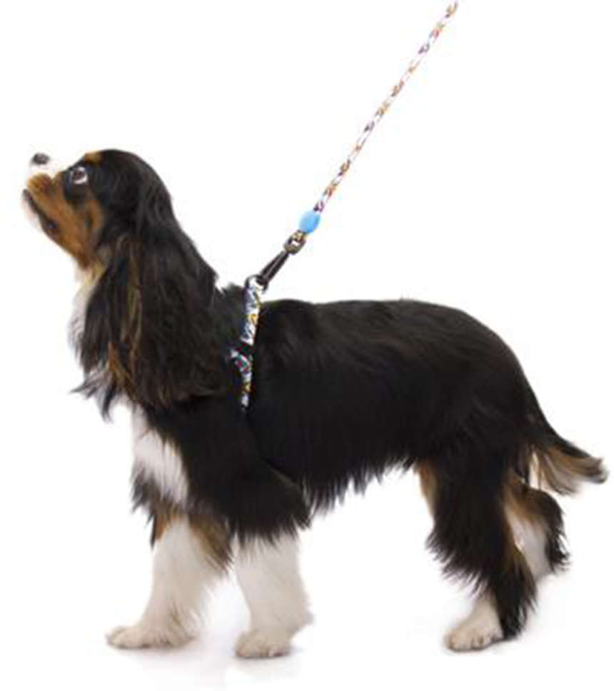 Guia Zooz Pets Snoopy ZigZag - Tam. G