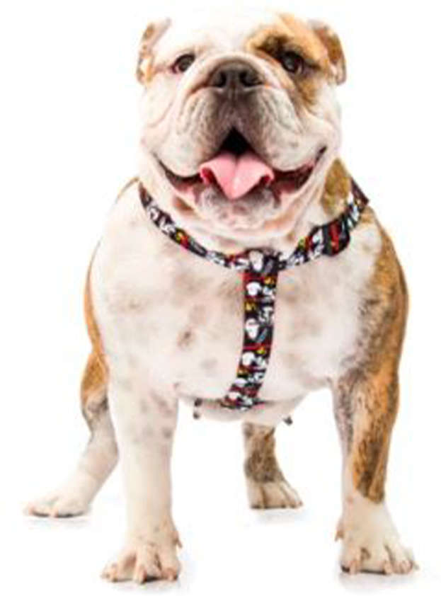 Peitoral Zooz Pets Snoopy FilmBlack - Tam. G