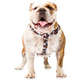 Peitoral Zooz Pets Snoopy FilmBlack