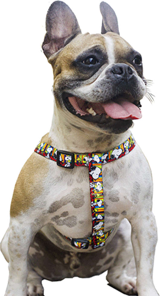 Peitoral Zooz Pets Snoopy Stripe - Tam. G