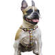 Peitoral Zooz Pets Snoopy Stripe