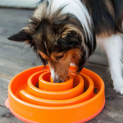 Comedouro e Bebedouro Outward Hound Fun Feeder Lento Verde