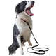 Guia K-9 Spirit Unificada Preta