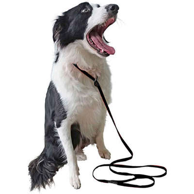 Guia K-9 Spirit Unificada Preta