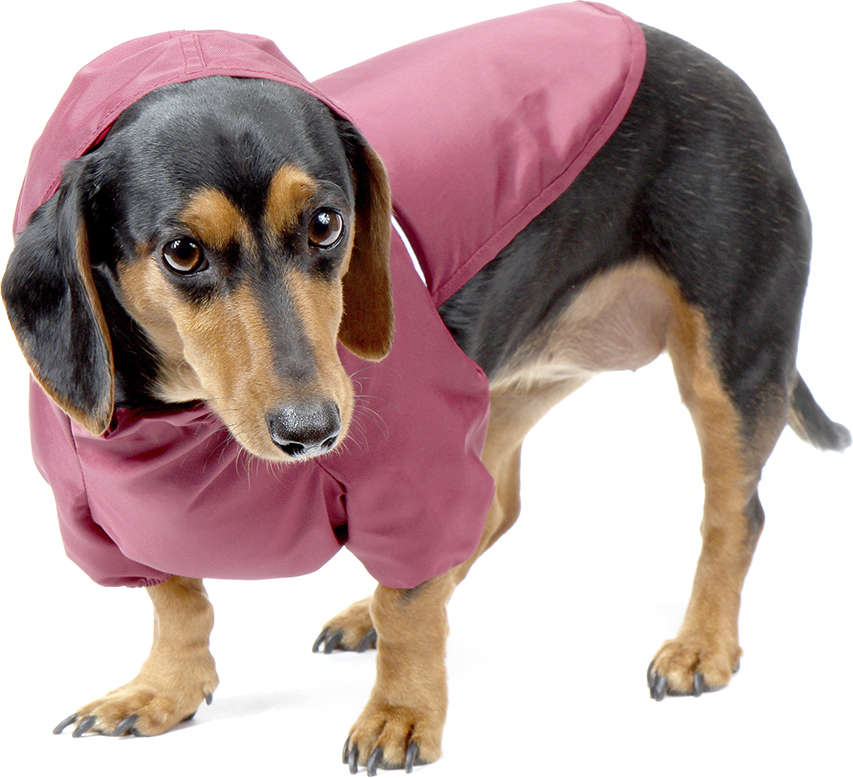 Capa de Chuva Bichinho Chic Premium Rosa - Tam. 06