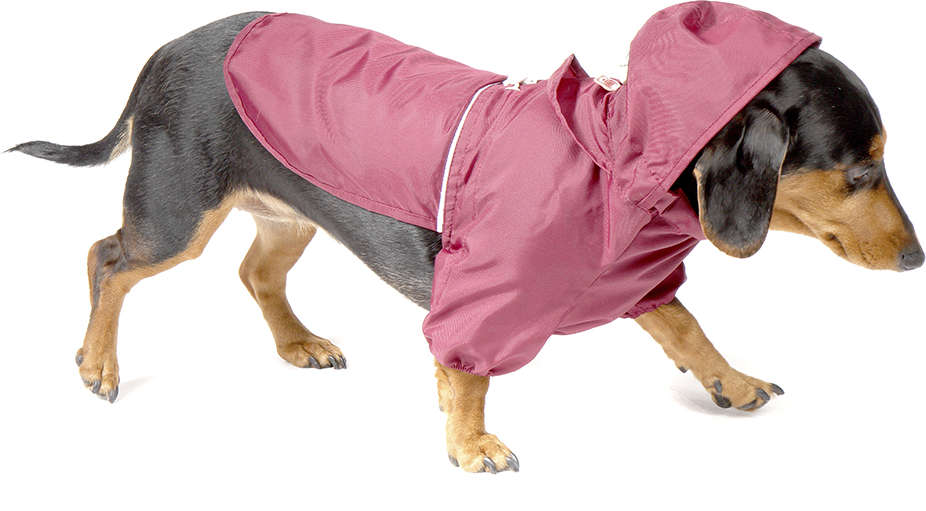 Capa de Chuva Bichinho Chic Premium Rosa - Tam. 06