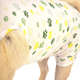 Roupa Pós Cirúrgica M&B Vet Aid em Dryfit para Cães Unissex Estampa de Patinhas