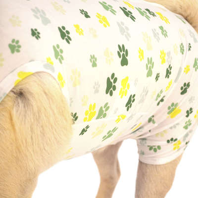 Roupa Pós Cirúrgica M&B Vet Aid em Dryfit para Cães Unissex Estampa de Patinhas