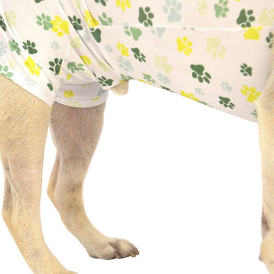 Roupa Pós Cirúrgica M&B Vet Aid em Dryfit para Cães Unissex Estampa de Patinhas