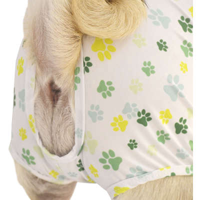 Roupa Pós Cirúrgica M&B Vet Aid em Dryfit para Cães Unissex Estampa de Patinhas