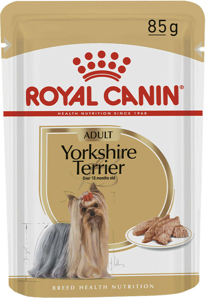 Ração Úmida Royal Canin Sachê Breed Health Nutrition Adult Wet para Yorkshire Terrier - 85 g