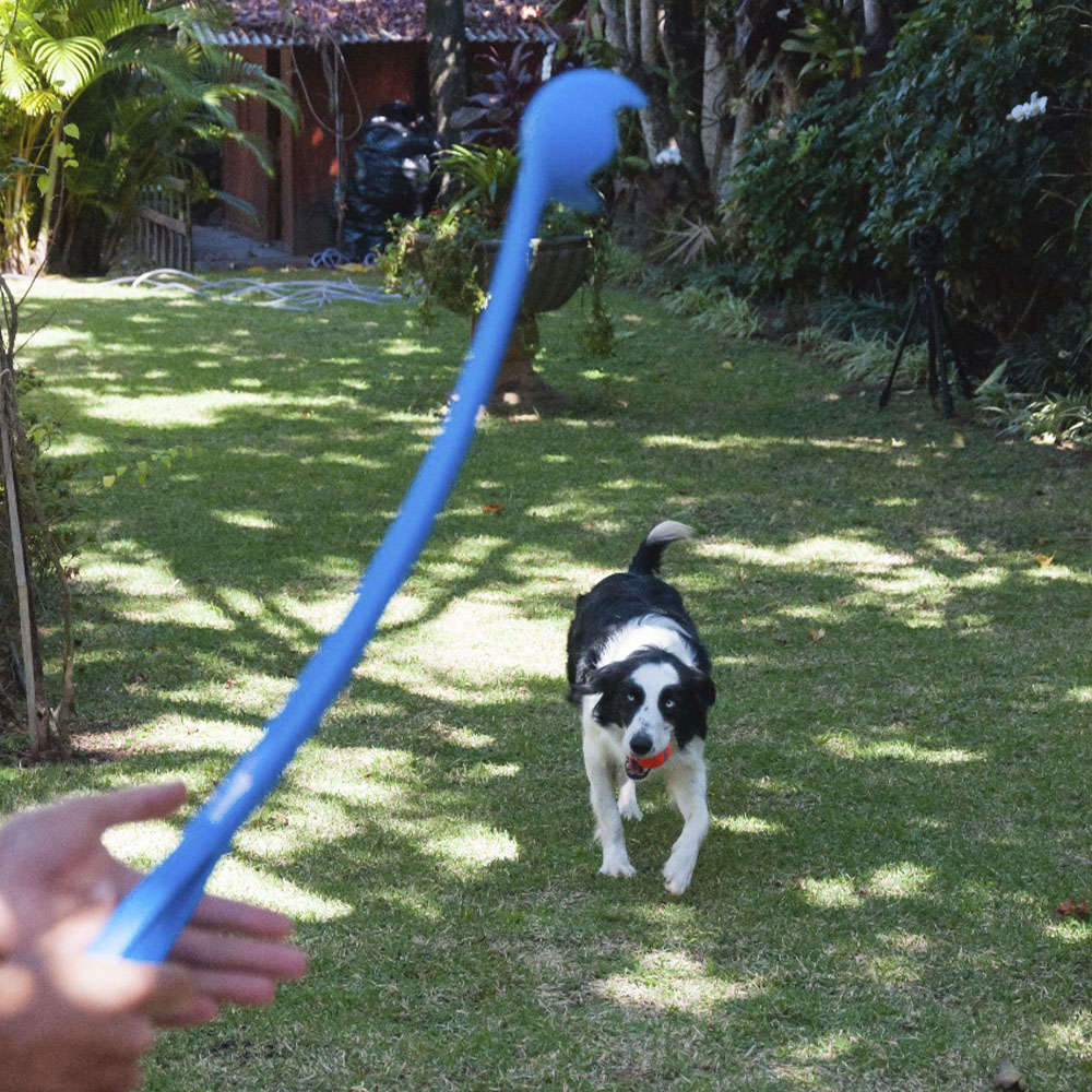 Brinquedo Chuckit Lançador de Bolinhas Júnior para Cães - Tam. Único
