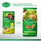 Ração Seca Nestlé Purina Dog Chow Cães Filhotes Raças Médias e Grandes