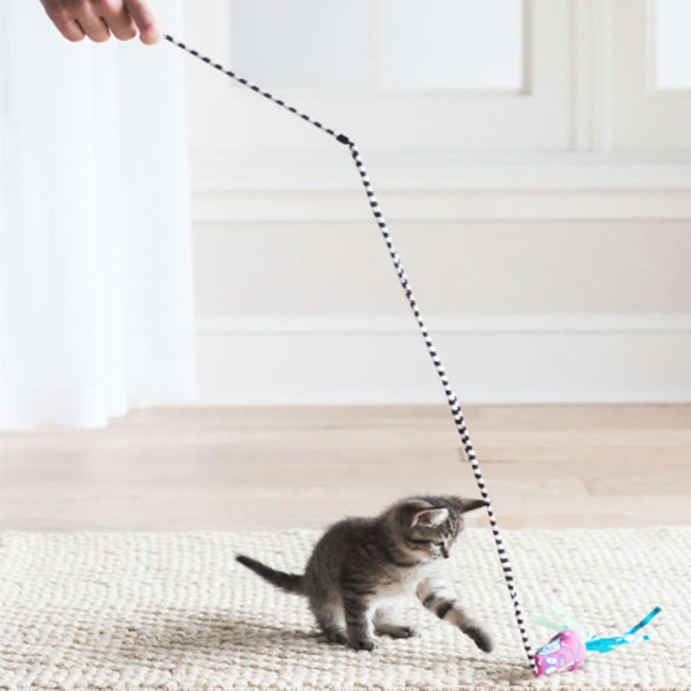 Brinquedo Fatcat Varinha Crawdaddy Vermelha para Gatos - Vermelha