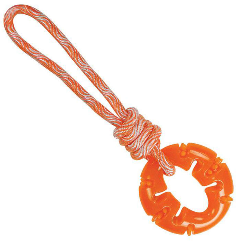 Brinquedo Jambo Mordedor Treat Ring Rope - Laranja