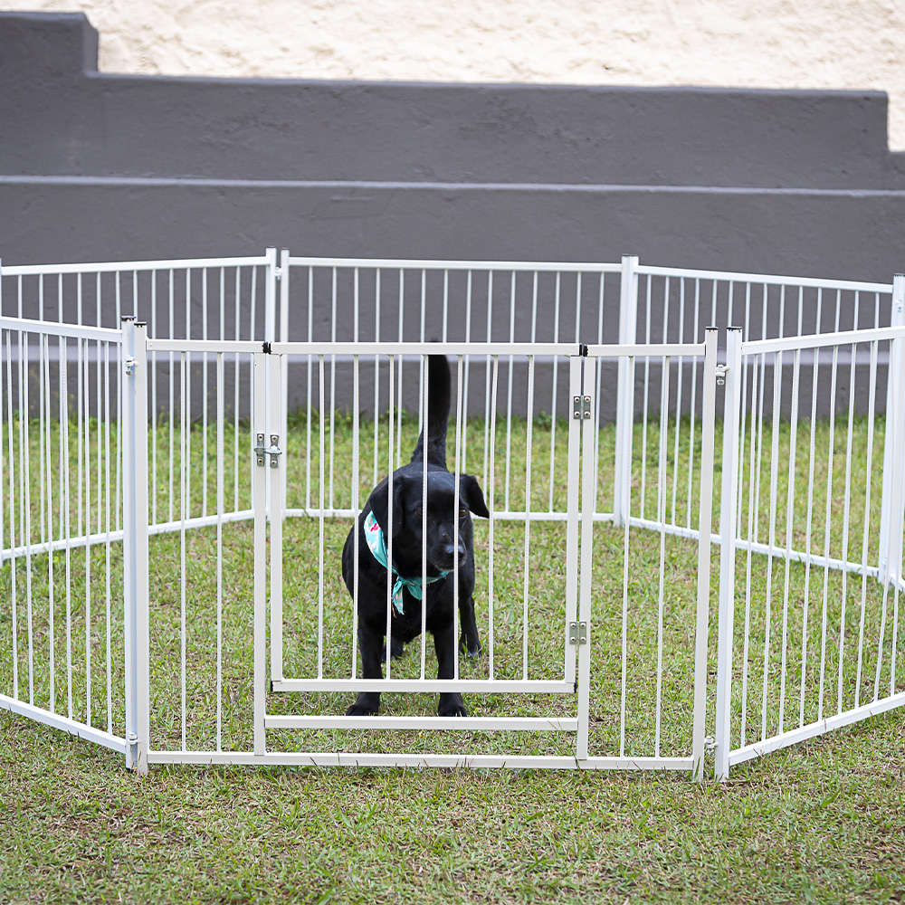 Cerca NF Pet Modular Branca com Portão - Branca