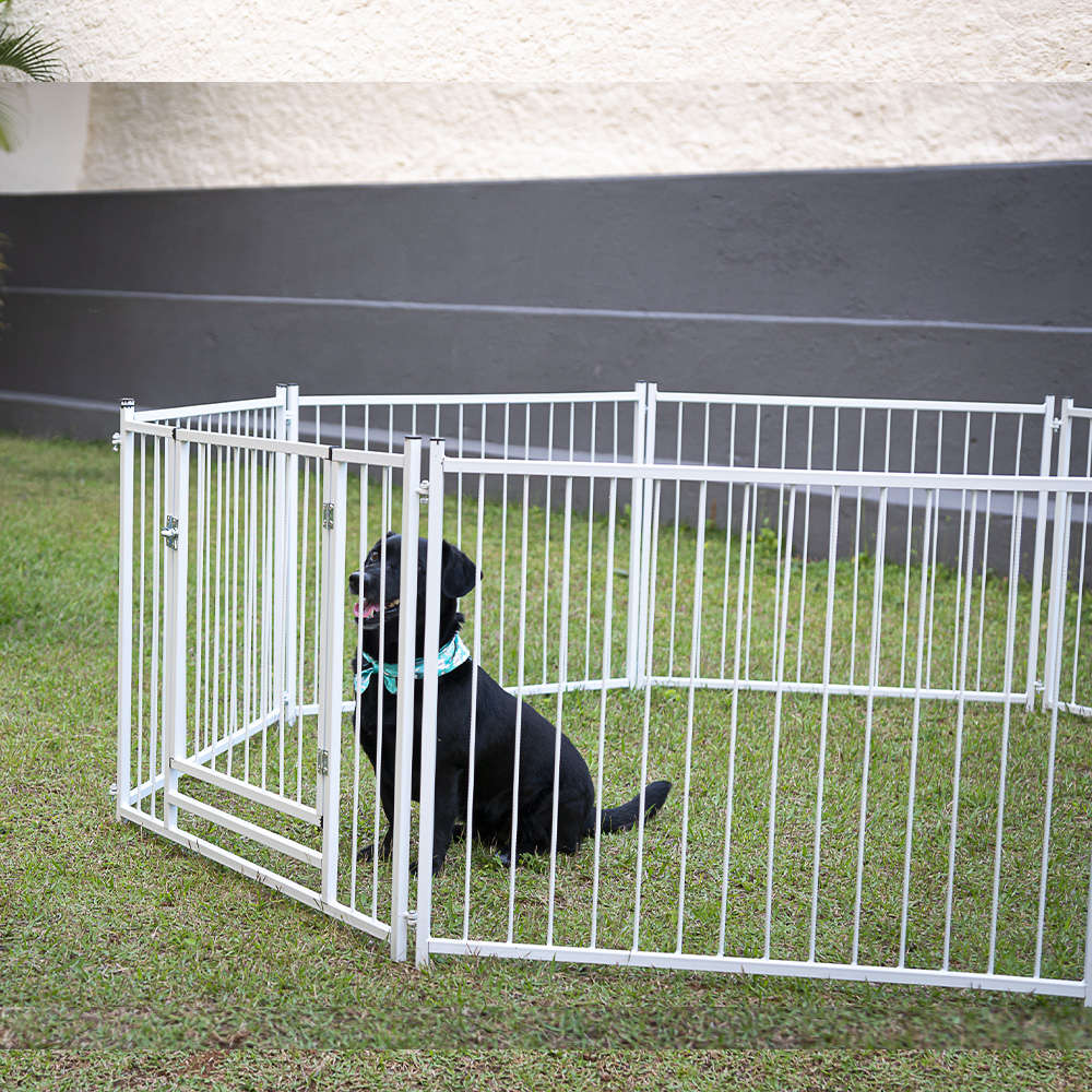 Cerca NF Pet Modular Branca com Portão - Branca